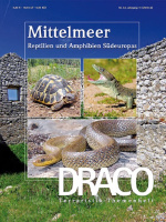 draco_42_mittelmeer