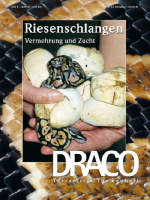 draco_44_riesenschlangen