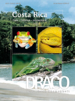 draco_45_costa_rica