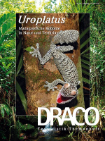 draco_52_uroplatus-madagassische_kobolde