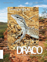 draco_53_zwergwarane_odatria