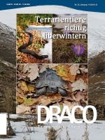 draco_nr__55_-_terrarientiere_richtig_uberwintern