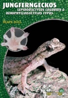 jungferngeckos_470515851
