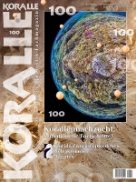 koralle_100_-_korallennachzucht_-_sensationelle_fortschritte