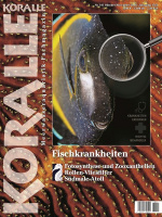 koralle_101_fischkrankheiten