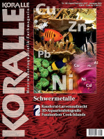 koralle_106_schwermetalle