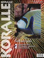 koralle_117_fisch_und_farbe