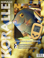 koralle_118_aquarienwasser_kuehlen