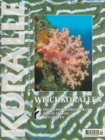 koralle_12_weichkorallen