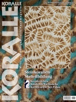 koralle_130_steinkorallen-skelettbildung