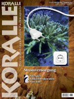 koralle_140_stromversorgung_247861875