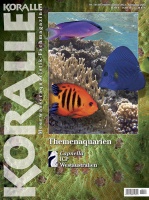 koralle_144_themenaquarien