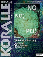koralle_151_-_naehrstofflimitierung_991742582