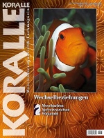 koralle_153_wechselbeziehungen_im_meerwasseraquarium_660260181