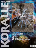 koralle_154_-_gifte_im_korallenriff_und_riffaquarium_1202847549