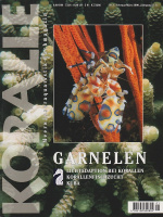 koralle_1_garnelen