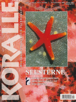 koralle_24_seesterne