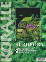 koralle_2_acropora-steinkorallen