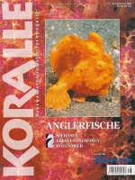 koralle_38_anglerfische
