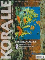 koralle_46_feuerkorallen