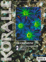 koralle_48_fluoreszenz