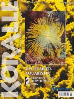 koralle_51_mittelmeeraquaristik_1709827218