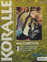 koralle_54_maulbrueter