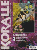 koralle_61_krugfische