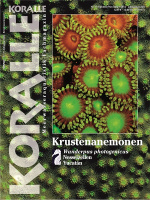 koralle_77_krustenanemonen