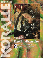 koralle_92_kardinalbarsche