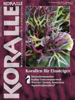 koralle_97_korallen_fuer_einsteiger