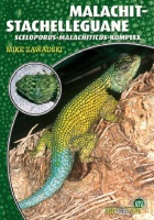 malachit-stachelleguane_-_sceloporus_malachiticus