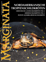 marginata_22_nordamerikanische_tropfenschildkroeten