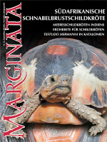 marginata_23_suedafrikanische_schnabelbrustschildkroete