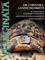marginata_25_cyrenaika-landschildkroete