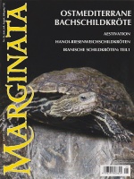 marginata_26_-_ostmediterrane_bachschildkroete