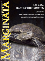 marginata_26_ostmediterrane_bachschildkroete