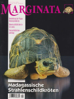 marginata_29_madagassische_strahlenschildkroeten