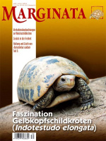 marginata_32_gelbkopf-landschildkroeten