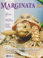 marginata_36_zwergschildkroeten