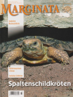 marginata_37_spaltenschildkroeten