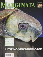 marginata_39_-_haltung_und_nachzucht_von_grosskopfschildkroeten_platysternidae