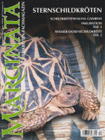 marginata_4_sternschildkroten