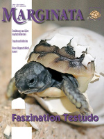 marginata_55_faszination_testudo