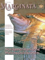 marginata_57_nordamerikanische_weichschildkroeten