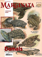 marginata_73_damals