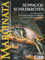 marginata_9_schmuckschildkroeten