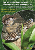 mexikanische_und_mittelamerikanische_krallengecko_coleonyx_elegans_coleonyx_mitratus