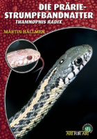 praerie-strumpfbandnatter_thamnophis_radix