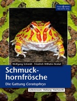 ratgeber_zur_haltung_von_schmuckhornfroeschen_der_gattung_ceratophrys_im_terrarium